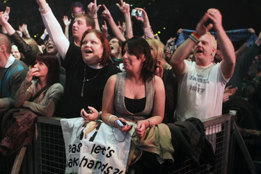 David Hasselhoff Fans