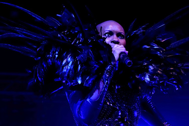 Skin (Skunk Anansie)