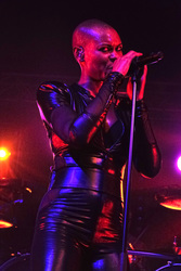 Skin (Skunk Anansie)