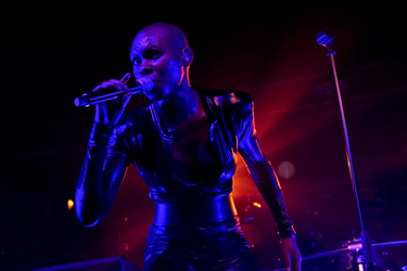 Skin (Skunk Anansie)