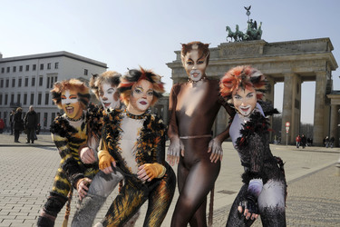 Mitglieder des Cats-Ensembles