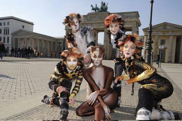 Mitglieder des Cats-Ensembles