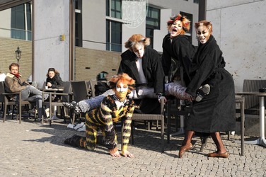 Mitglieder des Cats-Ensembles