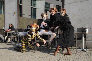 Mitglieder des Cats-Ensembles