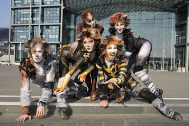 Mitglieder des Cats-Ensembles