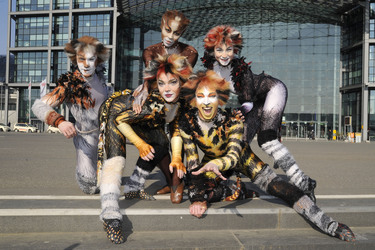 Mitglieder des Cats-Ensembles