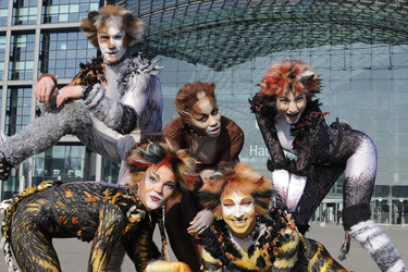 Mitglieder des Cats-Ensembles