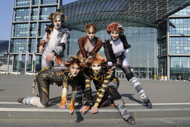 Mitglieder des Cats-Ensembles