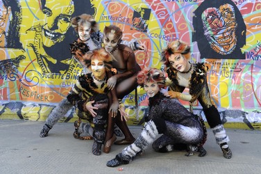 Mitglieder des Cats-Ensembles