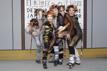 Mitglieder des Cats-Ensembles