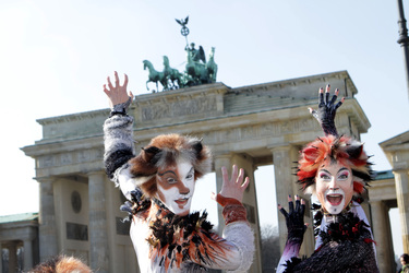 Mitglieder des Cats-Ensembles