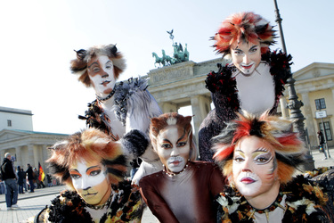 Mitglieder des Cats-Ensembles