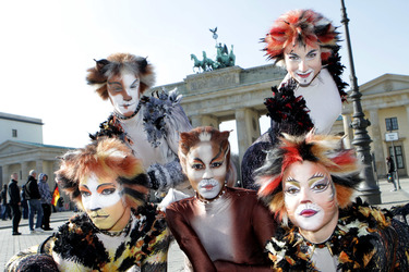 Mitglieder des Cats-Ensembles