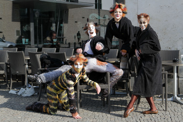Mitglieder des Cats-Ensembles