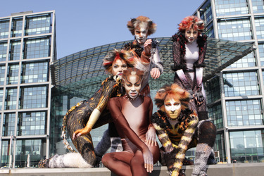 Mitglieder des Cats-Ensembles