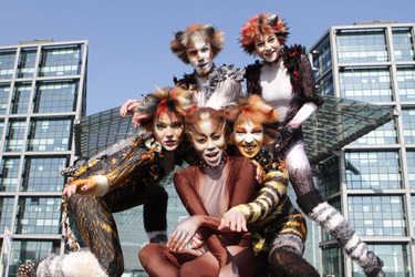 Mitglieder des Cats-Ensembles