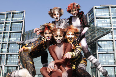 Mitglieder des Cats-Ensembles