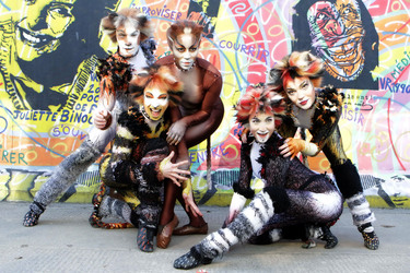 Mitglieder des Cats-Ensembles