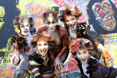 Mitglieder des Cats-Ensembles