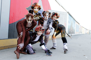 Mitglieder des Cats-Ensembles
