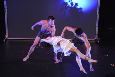 Performancegruppe Pilobolus