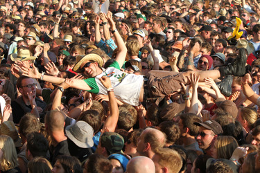 Social Distortion Fans