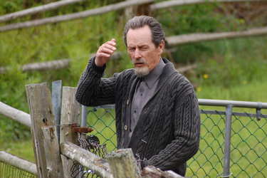 Stephen McHattie
