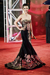 Bingbing Li