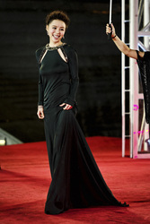 Jingchu Zhang