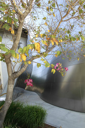 Walt Disney Concert Hall