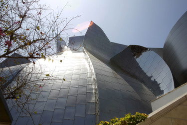 Walt Disney Concert Hall