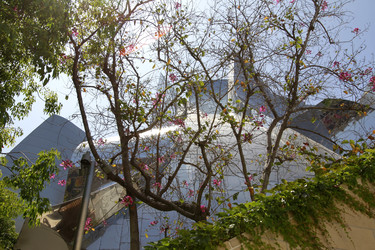 Walt Disney Concert Hall