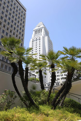 Los Angeles City Hall