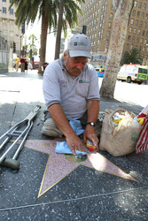 Ein Fan putzt den Sern von Mildred Harris auf dem Hollywood Walk of Fame