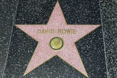 Stern von David Bowie auf dem Hollywood Walk of Fame