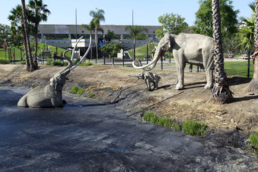 La Brea Tar Pits