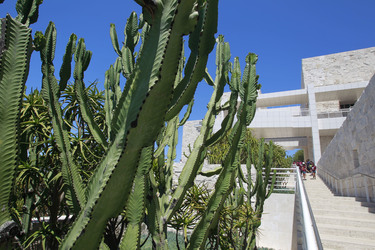 Getty Center