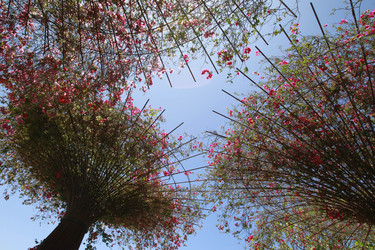 Getty Center