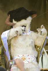 The Sarlacc Survivors