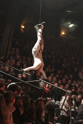 Halloween - Stuntshow