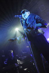 Alina Süggeler (Frida Gold)