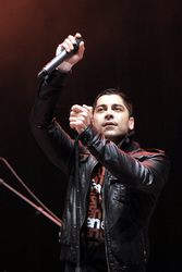 Ali Tabatabaee (Zebrahead)