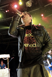 Ali Tabatabaee (Zebrahead)