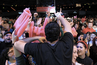 Ali Tabatabaee (Zebrahead)