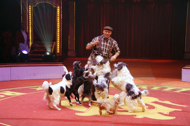 Wolfgang Lauenburger mit seiner Hundedressur