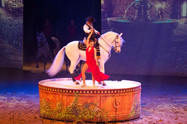 Apassionata Pferdeshow