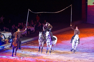 Apassionata Pferdeshow