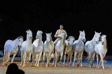 Apassionata Pferdeshow