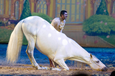 Apassionata Pferdeshow