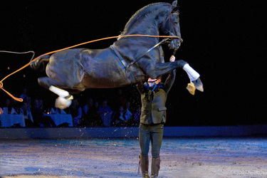 Apassionata Pferdeshow